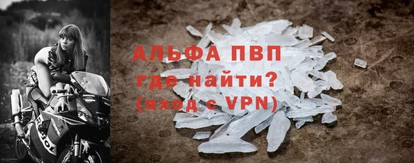 стаф Белокуриха