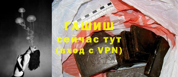 стаф Белокуриха